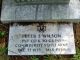 Peter S. Wilson